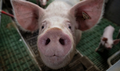 ( AFP / BERTRAND GUAY )