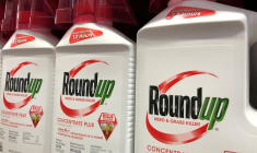 BAYER REMPORTE UN PREMIER PROCÈS DANS LES LITIGES VISANT LE ROUNDUP