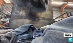 Nos jeans craqués peuvent nous isoler du bruit, des canicules et du froid