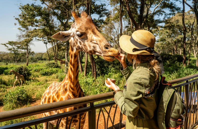 Les parcs zoologiques proposent de nombreuses activités originales avec des animaux sauvages. ( crédit photo : Shutterstock )
