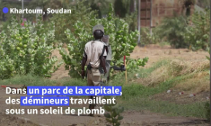 A Khartoum, le titanesque chantier de déminage d'une ville minée