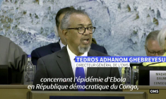 Ebola: l'OMS déclare une urgence internationale pour l'épidémie frappant la RDC