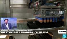 Inflation en France : comment est-on passé de la flambée au calme plat ?