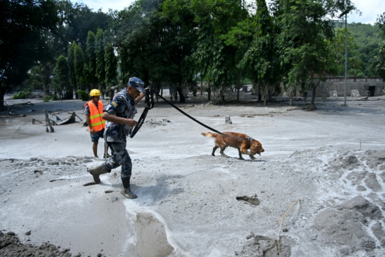 Un membre des forces de sécurité et son chien de recherche de survivants fouillent les lieux à la suite des crues soudaines survenues à Trishuli, dans le district de Nuwakot au Népal, le 27 août 2026. ( AFP / PRAKASH MATHEMA )