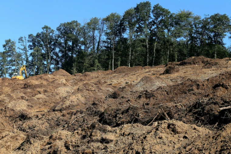 Des fouilles sont menées pour tenter de retrouver le corps d'Estelle Mouzin, le 3 septembre 2021, dans une forêt près d'Issancourt-et-Rumel, dans les Ardennes ( AFP / FRANCOIS NASCIMBENI )