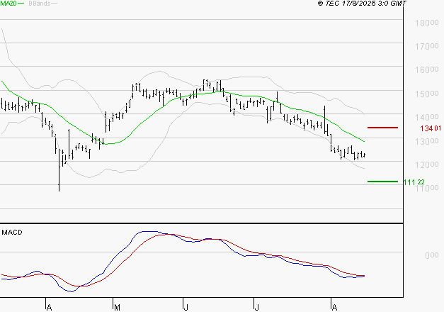 CAPGEMINI : Sous les résistances, une consolidation est probable