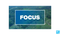 Sur les traces du thé sri lankais, des collines verdoyantes aux tasses du monde