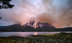 Un feu de forêt à Port Alberni, sur l'île de Vancouver, en Colombie-Britannique, au Canada, le 12 août 2025 ( AFP / Colby Rex O'Neill )