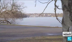 Chanter en français : le nouveau cool ?