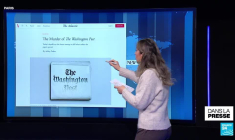 Russie : des pigeons-drones développés à des fins d'espionnage ?