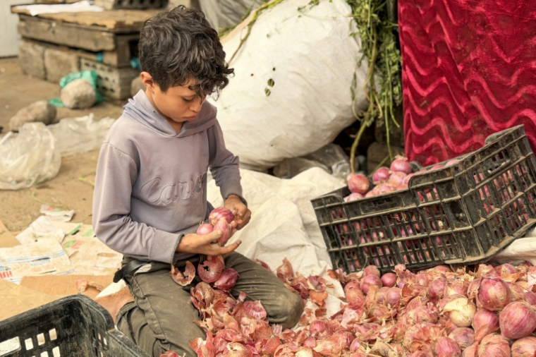 Un enfant trie des oignons sur un marché local de Taëz, ville du sud-ouest du Yémen, le 8 octobre 2026 ( AFP / - )