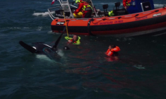 Tentative de traversée de la Manche de Franky Zapata: images de l'amerrissage