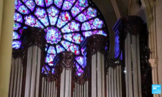 Notre-Dame à l’honneur dans le Paris des Arts