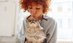 L’ocytocine, surnommée l’«hormone de l’amour», envahit-elle les cerveaux du chat et de l’humain? (crédit: Adobe Stock)