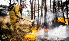Les pompiers néerlandais combattaient encore vendredi plusieurs incendies de végétation déclenchés ces derniers jours aux Pays-Bas, tandis que la France a envoyé des équipes pour leur prêter main forte ( ANP / ROB ENGELAAR )