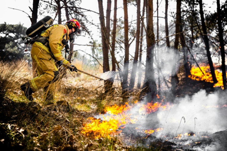Un pompier lutte contre un feu de forêt près de Budel, au lendemain de son déclenchement sur un terrain d'entraînement militaire,le 1er mai 2026 aux Pays-Bas ( ANP / ROB ENGELAAR )