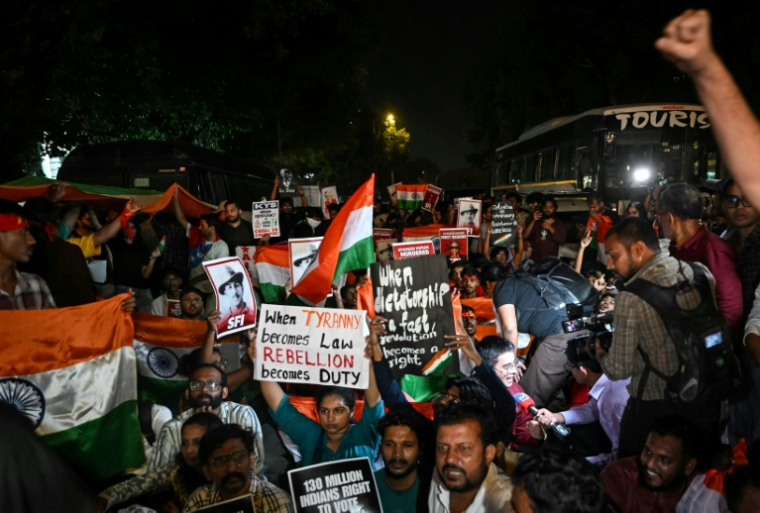 Des partisans du Parti du peuple des cafards (CJP) manifestent pour réclamer la démission du commissaire électoral en chef, Gyanesh Kumar, le 16 octobre 2026 à New Delhi, en Inde ( AFP / Arun SANKAR )