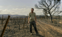 Le vigneron Laurent Bachevillier, qui a perdu toute sa récolte lors de l'incendie géant qui a ravagé les Corbières, le 22 août 2025 dans son domaine "Les Cascades", à Tournissan, dans l'Aude    ( AFP / Idriss Bigou-Gilles )