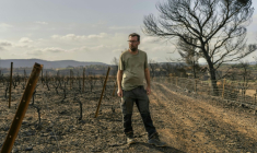 Le vigneron Laurent Bachevillier, qui a perdu toute sa récolte lors de l'incendie géant qui a ravagé les Corbières, le 22 août 2025 dans son domaine "Les Cascades", à Tournissan, dans l'Aude    ( AFP / Idriss Bigou-Gilles )
