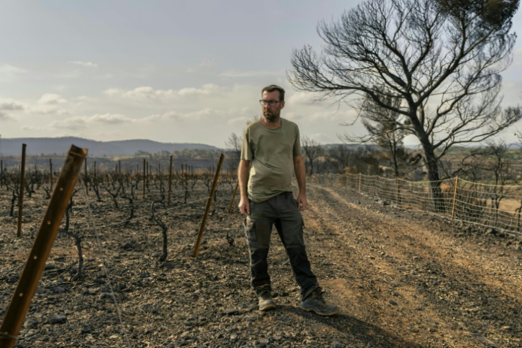 Le vigneron Laurent Bachevillier, qui a perdu toute sa récolte lors de l'incendie géant qui a ravagé les Corbières, le 22 août 2025 dans son domaine "Les Cascades", à Tournissan, dans l'Aude ( AFP / Idriss Bigou-Gilles )