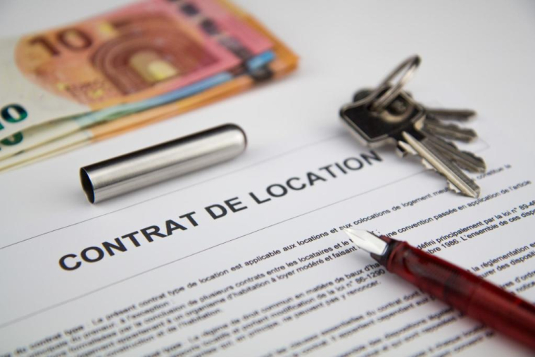 andos.media/Shutterstock / andos.media