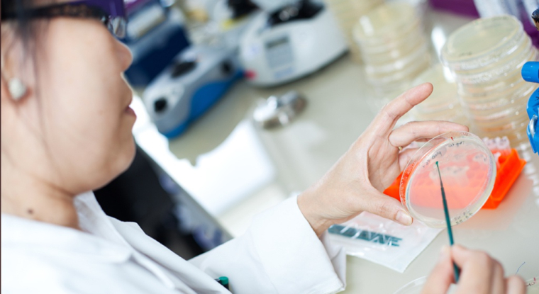 Une salariée de Global Bioenergies au travail. (© Global Bioenergies)