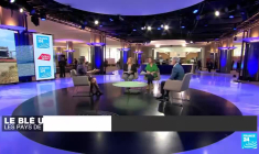 Le blé ukrainien, pomme de la discorde : les pays de l'Est s'inquiètent pour leur agriculture