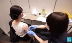 JO de Tokyo : une jauge à 10 000 spectateurs établie