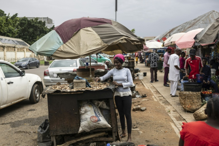 Une vendeuse de rue sur un marché de la capitale nigériane Abuja, le 20 mai 2025 ( AFP / OLYMPIA DE MAISMONT )