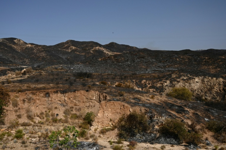 Vue des dégâts causés après un incendie près de Bedar, dans le district de Los Gallardos, dans la province d'Almería, le 10 juillet 2026 en Espagne ( AFP / JORGE GUERRERO )