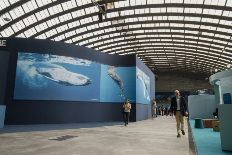 Des visiteurs de l'exposition "La baleine" à l'occasion de la Conférence des Nations Unies sur les océans (ONUC) au Parc des expositions de Nice, le 2 juin 202 ( AFP / Frederic DIDES )