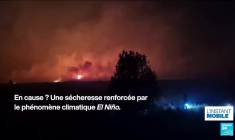 Le Maroc et le Sénégal attendent le verdict du TAS sur la finale de la CAN