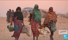 "Marcher sur l'eau" : le plaidoyer d’Aïssa Maïga contre le réchauffement climatique