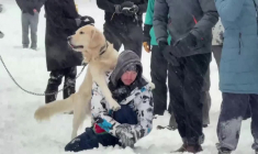 "On avait tous besoin d'un peu de légèreté": les New-Yorkais profitent de la neige à Brooklyn