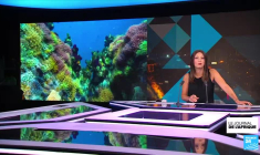 RDC : hommage aux victimes de conflits armés