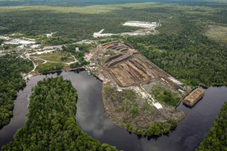 Vue aérienne d'une barge de transport de grumes par voie fluviale à Lahei Mangkutup, dans la régence de Kapuas du Kalimantan central, le 11 février 2026 en Indonésie ( AFP / BAY ISMOYO )