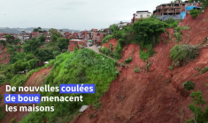 Brésil: après le déluge, le sauvetage des animaux de compagnie des sinistrés