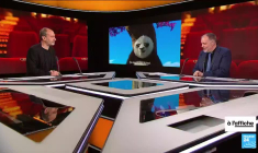 "Le Jeu de la reine" : quand Jude Law se transforme en Barbe-Bleue