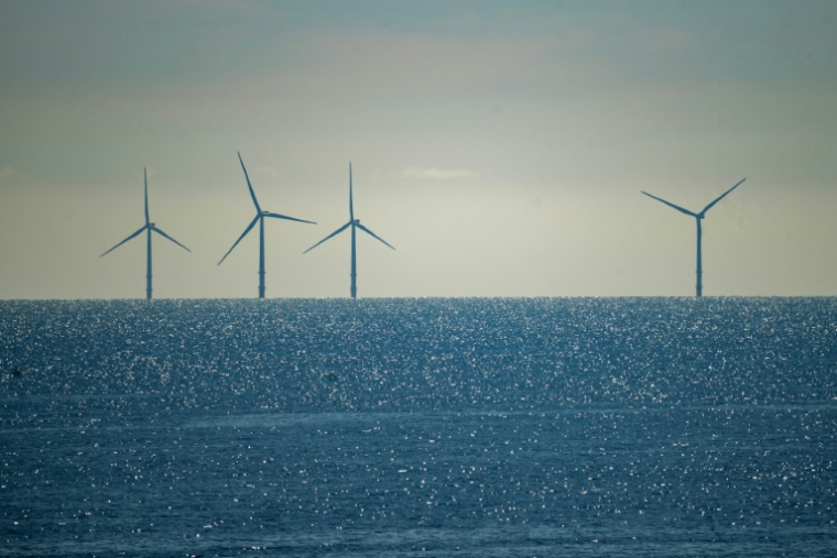 Des éoliennes marines entre le Danemark et l'Allemagne en 2025 ( AFP / Olivier MORIN )