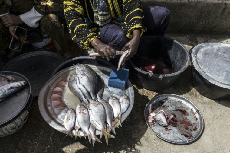 Une mareyeuse nettoie un poisson sur son étal dans un port de pêche à Rufisque, le 3 mars 2026, au Sénégal ( AFP / PATRICK MEINHARDT )