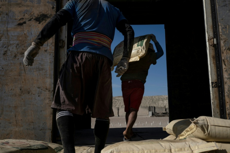 Des ouvriers transportent des sacs de guano à la réserve nationale de Punta San Juan de Marcona, dans le sud du Pérou, le 29 septembre 2025 ( AFP / Ernesto BENAVIDES )