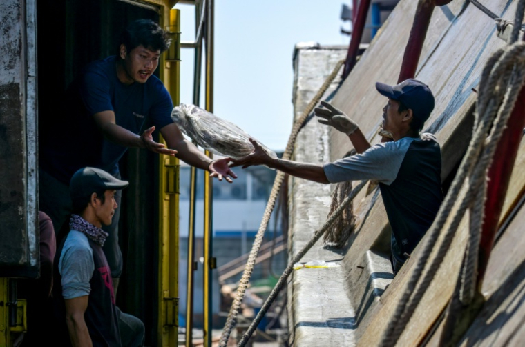 Des membres d'équipage déchargent leur pêche au port de Nusantara, à Kejawan-Cirebon, le 11 juin 2026 en Indonésie ( AFP / Bay ISMOYO )