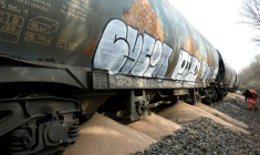 Des militants du collectif "Bretagne contre les fermes usines" ont répandu une partie de la cargaison d'un train de céréales, à Saint-Gérand, le 19 mars 2022 ( AFP / JEAN-FRANCOIS MONIER                 )