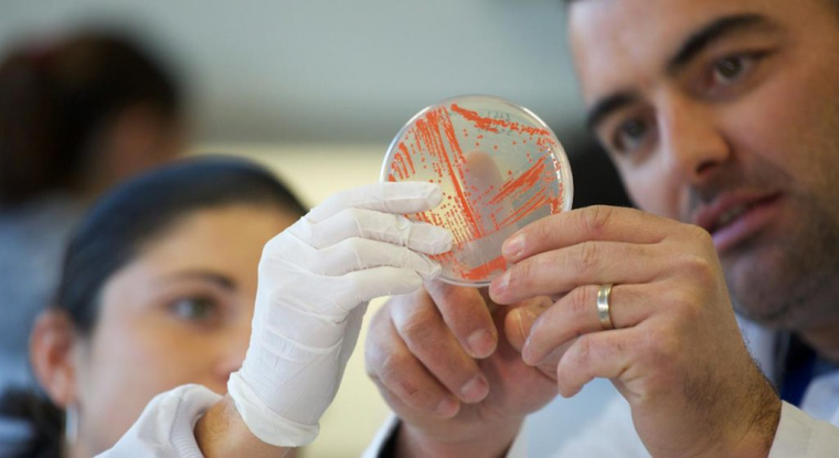 Des chercheurs de Deinove. (© Deinove)