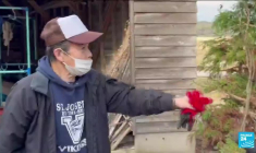 Japon : plus de 60 morts et d'immenses dégâts après un puissant séisme