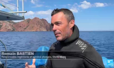 Scandola, joyau corse sous pression : la biodiversité face à l'afflux touristique