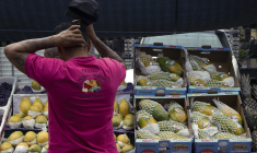 ( AFP / MIGUEL SCHINCARIOL )