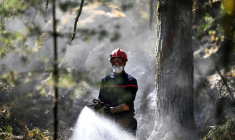 Un pompier asperge la végétation dans la forêt de Fontainebleau touchée par un incendie le 16 juillet 2026 ( AFP / LOU BENOIST )