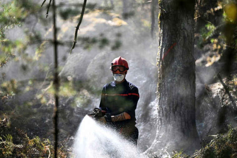 Un pompier asperge la végétation dans la forêt de Fontainebleau touchée par un incendie le 16 juillet 2026 ( AFP / LOU BENOIST )