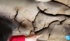 Grotte Chauvet : un trésor préhistorique sous haute protection